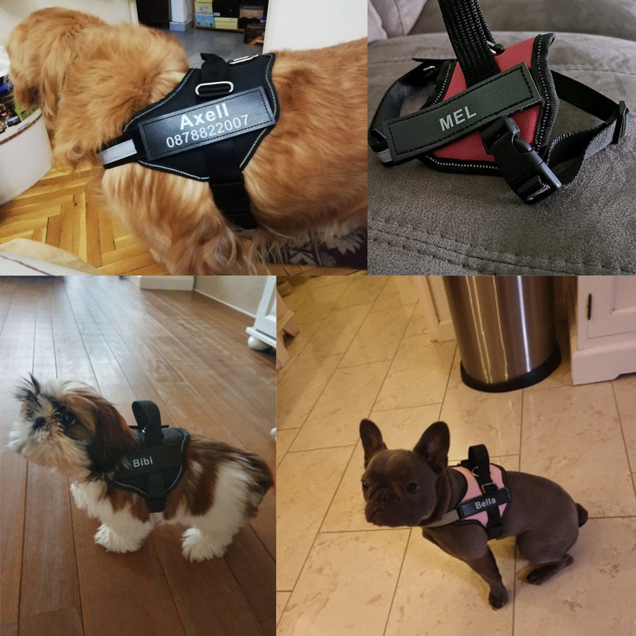 Personalized Dog Harness Velcro Labels